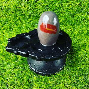narmada river shivling